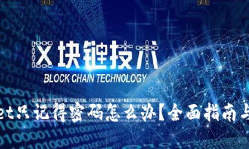 : TPWallet只记得密码怎么办?全面指南与解决方案