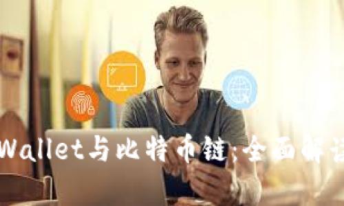 深入探索TPWallet与比特币链:全面解读和应用分析