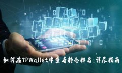 如何在TPWallet中查看持仓排