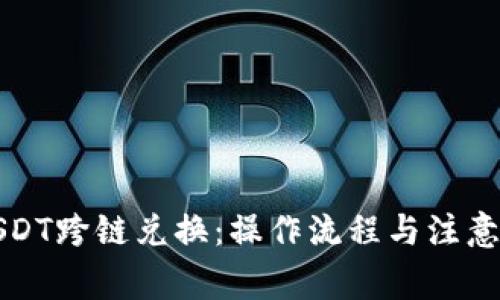 TP钱包USDT跨链兑换:操作流程与注意事项详解