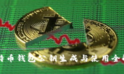 比特币钱包公钥生成与使用全解析
