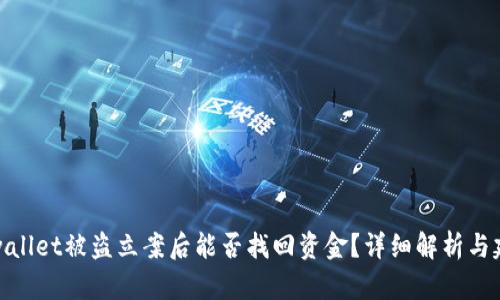 tpwallet被盗立案后能否找回资金?详细解析与建议
