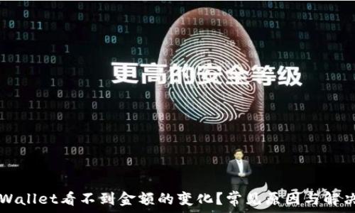 为什么TPWallet看不到金额的变化?常见原因与解决方案解析
