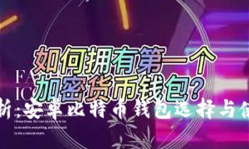 全面解析:安卓比特币钱包选择与使用指南