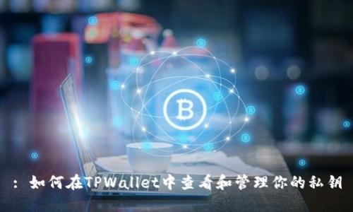 : 如何在TPWallet中查看和管理你的私钥