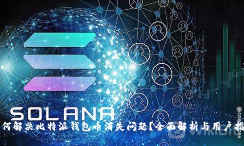 如何解决比特派钱包币消失问题?全面解析与用户指南