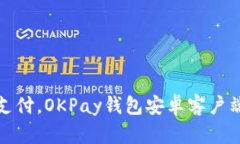 畅享便捷支付，OKPay钱包安