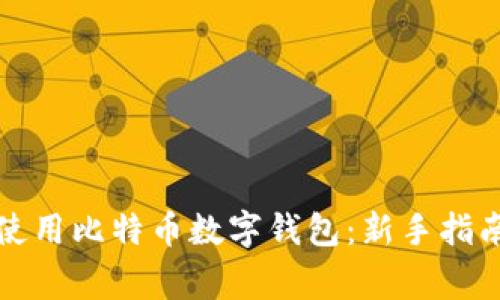 如何安全地使用比特币数字钱包:新手指南与常见误区