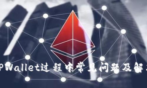 使用TPWallet过程中常见问题及解决方案
