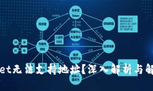 TPWallet无法支持地址？深入解析与解决方案