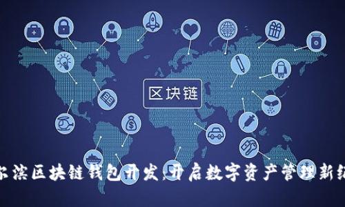 哈尔滨区块链钱包开发：开启数字资产管理新纪元