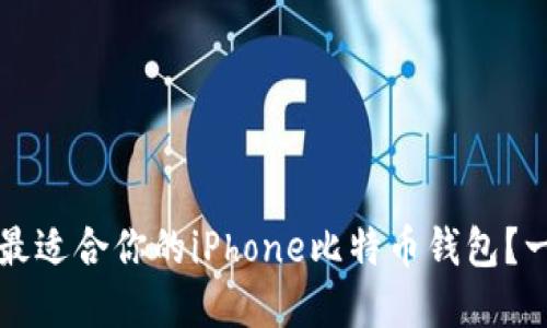 如何选择最适合你的iPhone比特币钱包?一站式指南