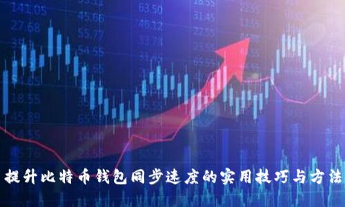 提升比特币钱包同步速度的实用技巧与方法