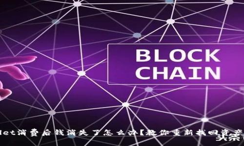 TPWallet消费后钱消失了怎么办?教你重新找回资产的方法