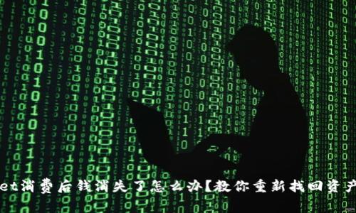 TPWallet消费后钱消失了怎么办?教你重新找回资产的方法