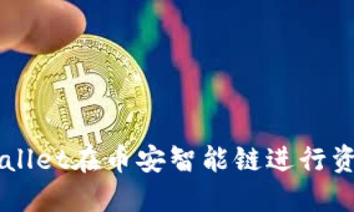 如何使用TPWallet在币安智能链进行资产管理与交易