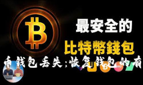 如何应对比特币钱包丢失:恢复钱包的有效策略与建议