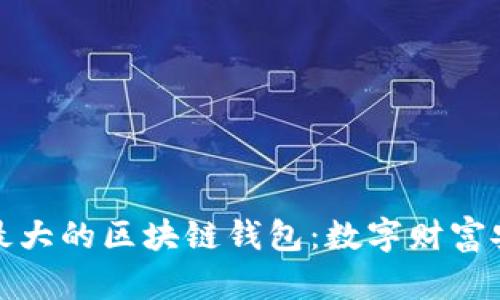 揭秘规模最大的区块链钱包:数字财富安全守护者