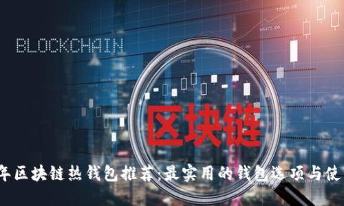 2023年区块链热钱包推荐:最实用的钱包选项与使用技巧