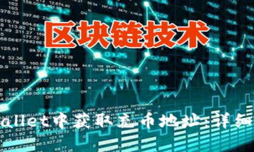 如何在TPWallet中获取充币地址:详细步骤与技巧
