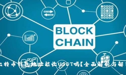 比特币钱包地址能收USDT吗?全面解析与解答