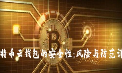 比特币云钱包的安全性:风险与防范详解