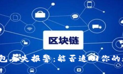 比特币钱包丢失报警:能否追回你的数字资产?