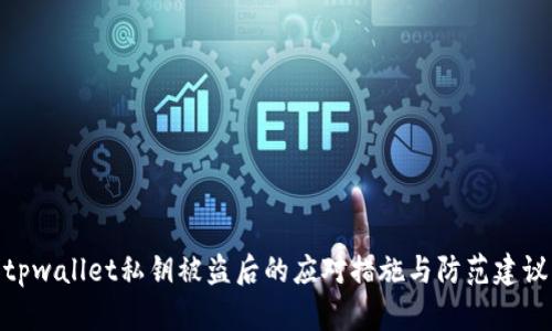 tpwallet私钥被盗后的应对措施与防范建议
