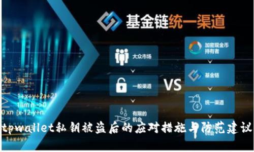 tpwallet私钥被盗后的应对措施与防范建议