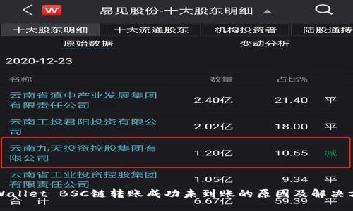 TPWallet BSC链转账成功未到账的原因及解决方法