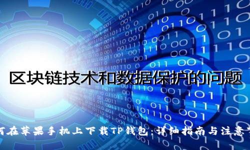 如何在苹果手机上下载TP钱包:详细指南与注意事项