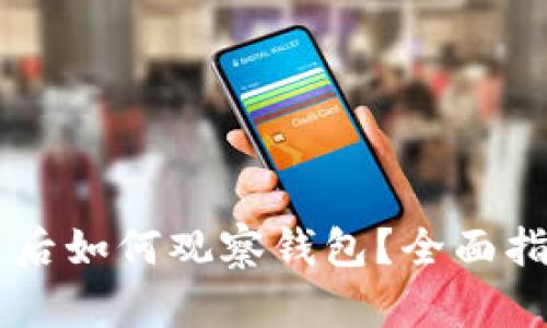 TPWallet恢复后如何观察钱包?全面指南与技巧分享