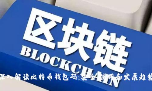 深入解读比特币钱包码:安全、使用和发展趋势