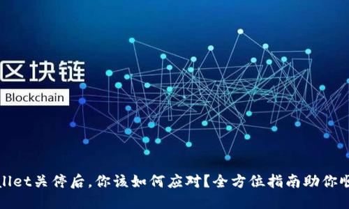 : TPWallet关停后,你该如何应对?全方位指南助你顺利迁移