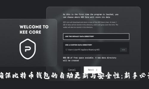 如何确保比特币钱包的自动更新与安全性:新手必读指南