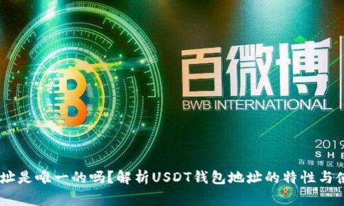 USDT钱包地址是唯一的吗?解析USDT钱包地址的特性与使用注意事项