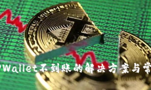 HT提现到TPWallet不到账的解决方案与常见问题解析