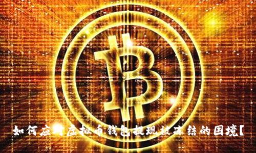 如何应对虚拟币钱包提现被冻结的困境?