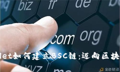 深入探讨tpwallet如何建立BSC链:迈向区块链技术的新纪元