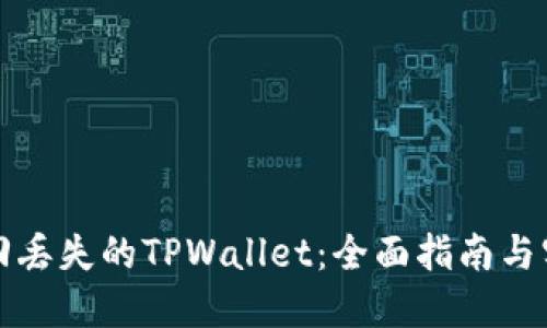 如何找回丢失的TPWallet:全面指南与实用技巧