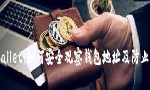 深入解析TPWallet:如何安全观察钱包地址及防止虚拟货币损失