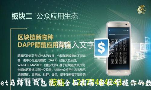 TPWallet马蹄链钱包使用全面指南:轻松掌握你的数字资产