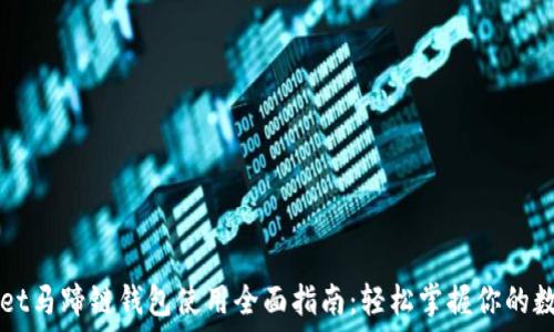 TPWallet马蹄链钱包使用全面指南:轻松掌握你的数字资产
