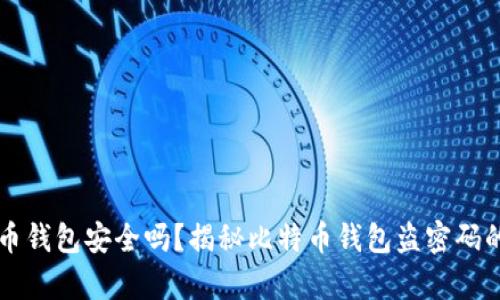 比特币钱包安全吗?揭秘比特币钱包盗密码的真相