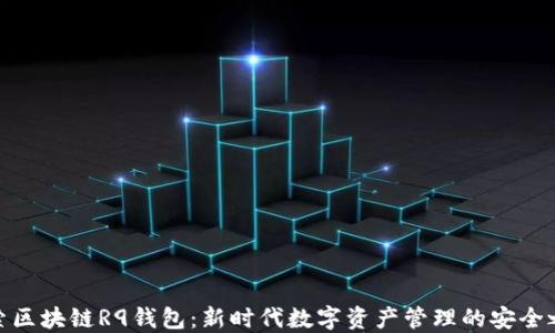 探索区块链R9钱包:新时代数字资产管理的安全之道