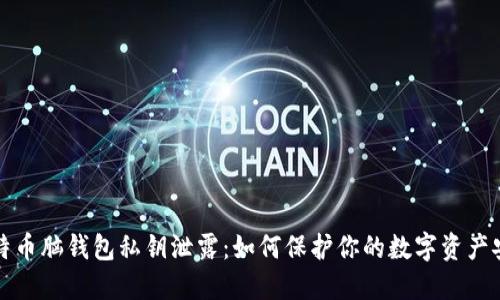 比特币脑钱包私钥泄露:如何保护你的数字资产安全