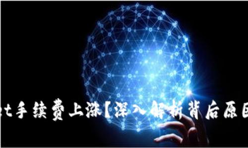 波场TPWallet手续费上涨?深入解析背后原因与应对策略