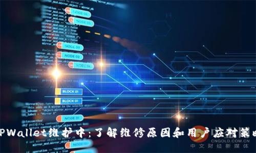 TPWallet维护中:了解维修原因和用户应对策略