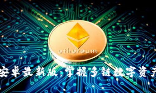 探索TPWallet安卓最新版:掌握多链数字资产管理的新趋势