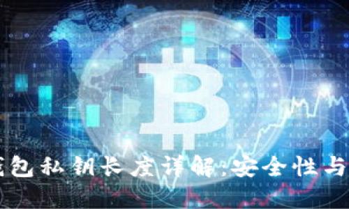 以太坊钱包私钥长度详解:安全性与使用指南